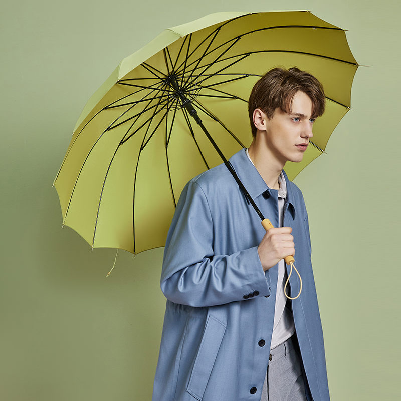 英伦长柄自动晴雨伞